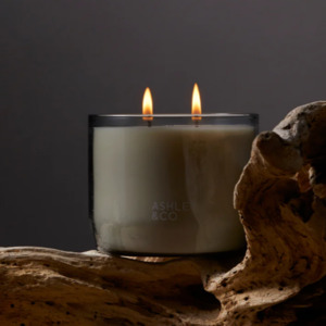 Waxed Perfume Tui and Kahili XL