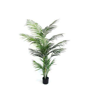 Plants Planters: Potted Areca Palm