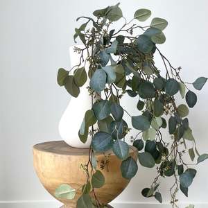 Gunni Eucalyptus Hanging Trail