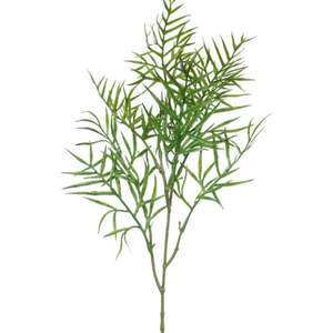 Plants Planters: Grevillea Leaf Spray