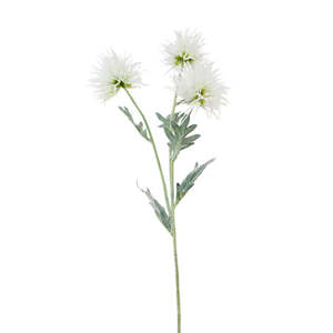 Plants Planters: Alpine Flower