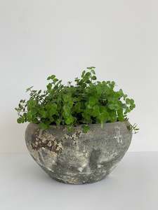 Pots: Old Stone Pot