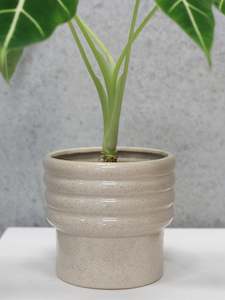 Pots: Speckled Pot
