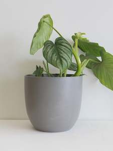 Pots: Egg Cover Pot Set