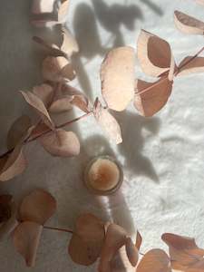 Skin: Cherry Vanilla Lip Scrub