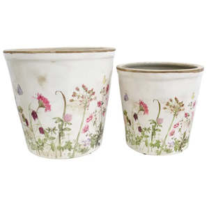 Lavida: Planters S/2 Botanical Lrg