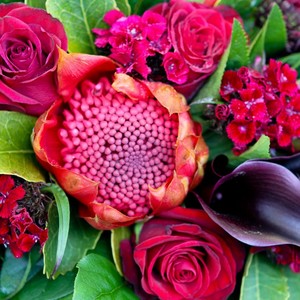 Dramatic Red Bouquet