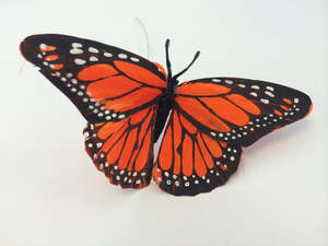 Flowers Gift Items: Orange Monarch butterfly