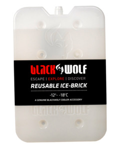 Coolers: Cooler Ice Brick M12