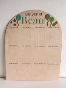 Baby Newborn: Balloon Photo Board