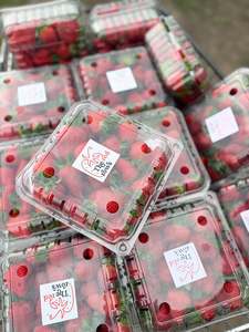 1 Kg Frozen Strawberry Punnet