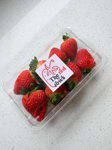 Small Strawberry Punnet
