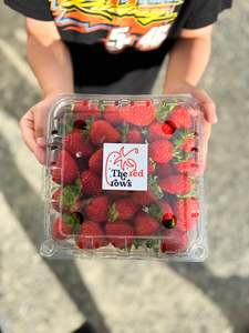 Large Strawberry Punnet