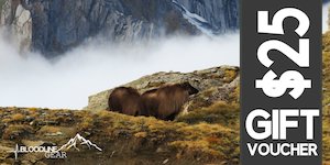 Gift Card: Gift Card For Your Legend