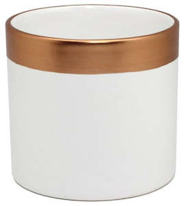 Potted Planters: Rose Rimmed White Ceramic Pot
