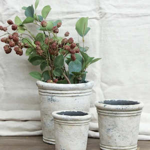 Potted Planters: Gris Planter - Large
