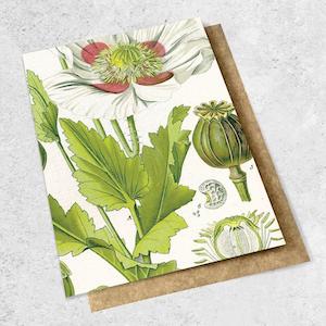 Stationery Cards: Poppy Vintage Botanical Card