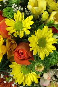 Products: Florist Choice - Bloomin Flowers - Flowers for all occasions
