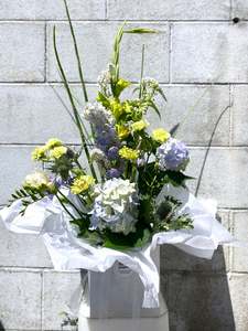 All: Florist's choice box arrangement