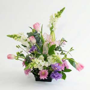 Delight Beauty