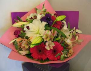 Anniversary: Rabbit Island