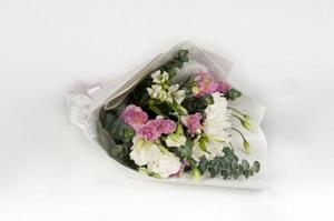 Anniversary: Pohara