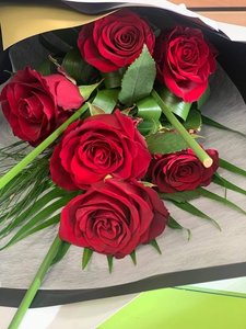 Romance: Wow