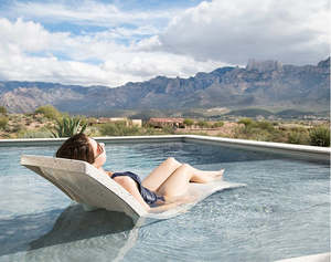 In Pool Furniture: Destination Lounger by S.R Smith USA