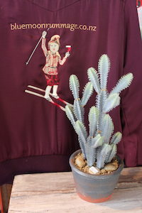 Products: Cactus Pot - Blue Moon Rummage