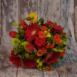 Featured Flowers: Jewels