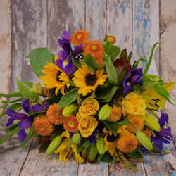 Featured Flowers: Sunshine