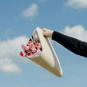 All: Mother's Day - Tulip Carrier