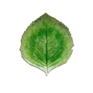 Riviera Leaf Dish