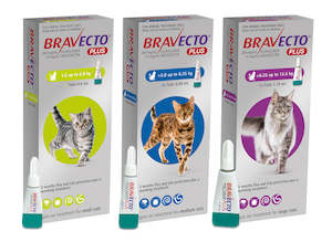 Bravecto: Flea & Tick & Worm Spot On Plus for Cats