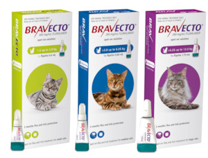 On Sale: Bravecto: Flea & Tick Spot On for Cats