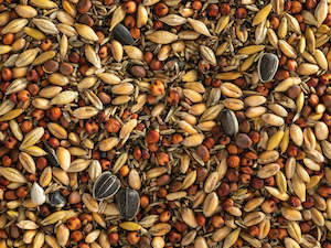 Birds Wild: Topflite: Wild Bird Seed Mix Coarse