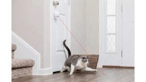 Dancing Dot Cat Laser Toy - By Petsafe