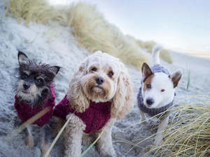 Paikka Knit Sweater - Burgundy