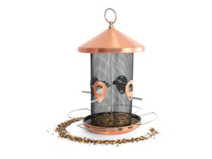 Topflite: Topflite - Bird Bistro