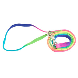 Products: Rainbow Puppy Lead 120cm