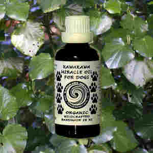Dogs: Organic Kawakawa Miracle Oil for Dogs - 50ml