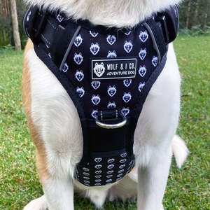 Products: Wolf and Co - "Wolf Pack" - Reflective No Pull Dog Harness - Extra Large