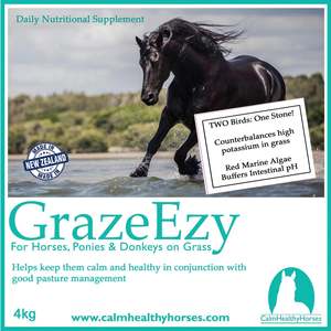 Calm Healthy Horses - GrazeEzy 4kg