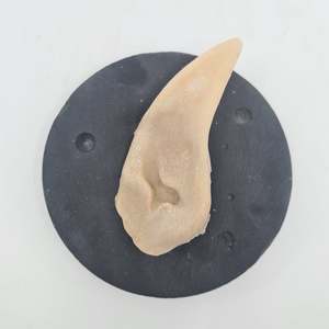 Halloween: Large Elf | Elven Ears