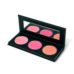 Makeup Palette: Blush Palette