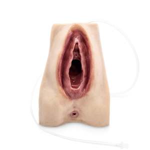Skills Trainers: Advanced Perineal Suture Trainer