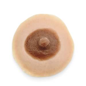 Nursing Nipple