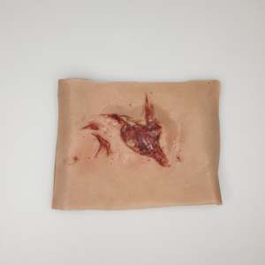 Library: SIM/SKILLS - Home first aid injuries package
