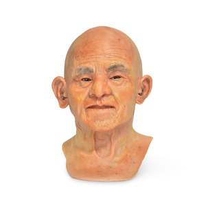 Male Sim Man Facial Overlays: Mr. Wang - SimMan Facial Overlay