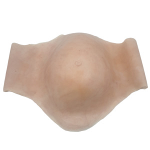 14 Female Torso: Pregnant Abdomen Basic